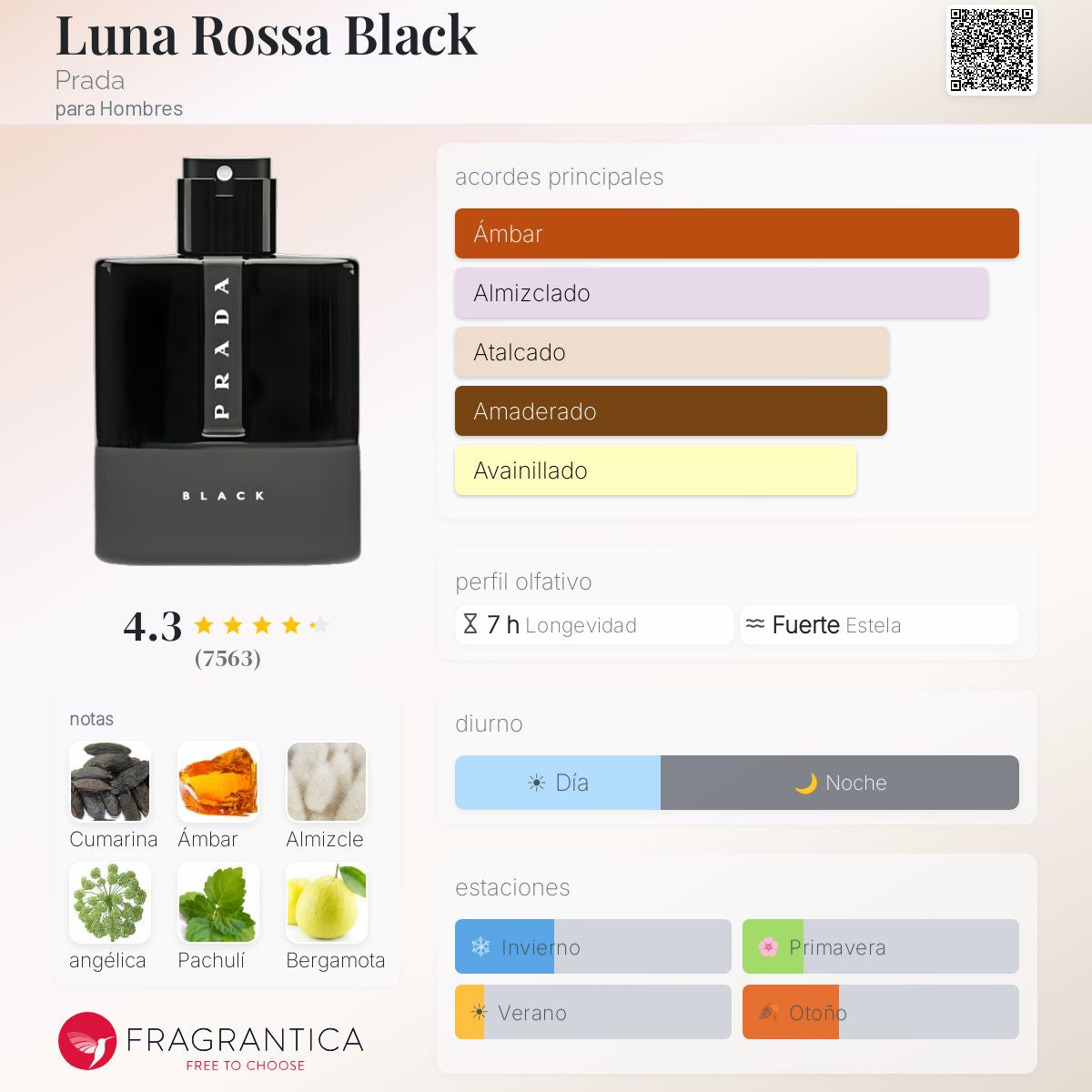 Prada Luna Rossa Black