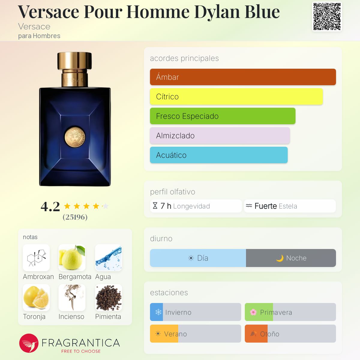 Versace Dylan Blue